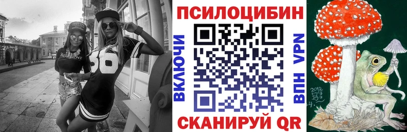 Галлюциногенные грибы Psilocybine cubensis  Каменка 